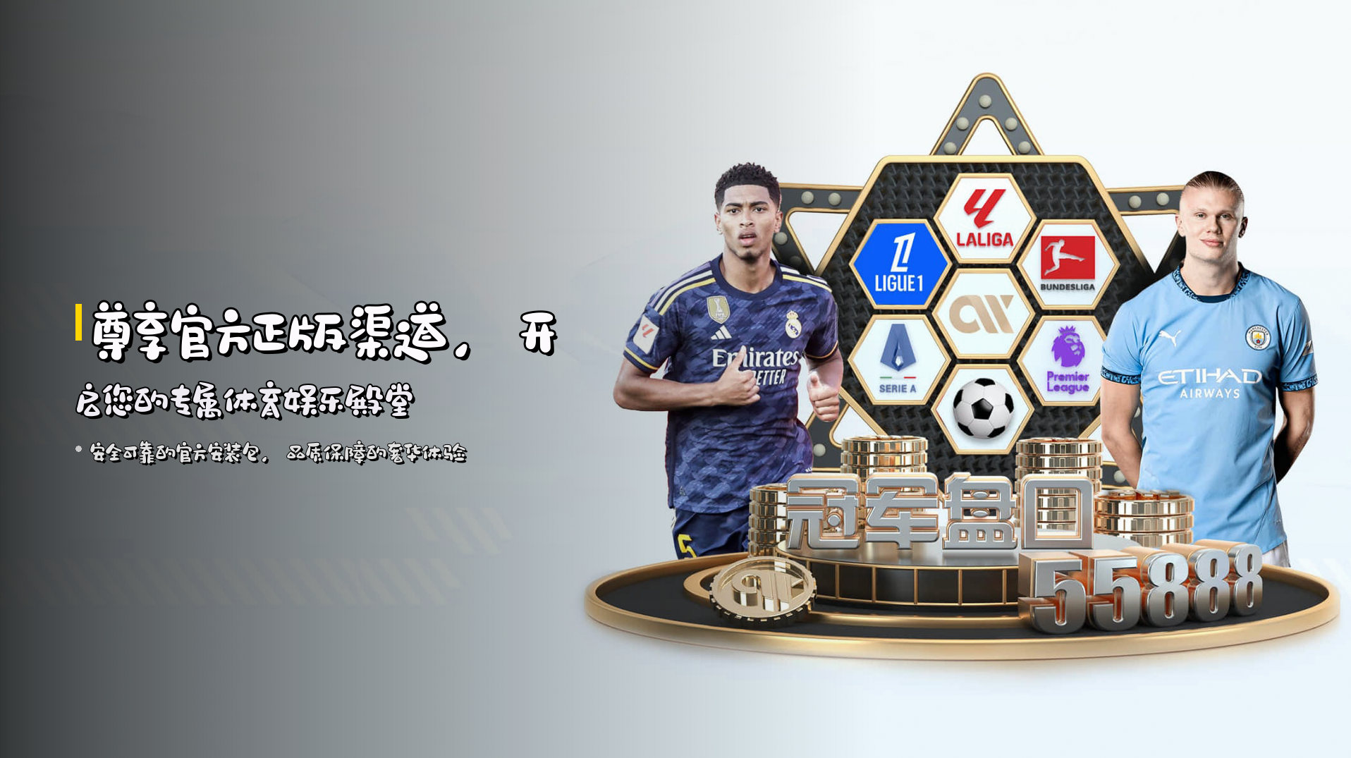 尊享<strong>官方正版</strong>渠道，开启您的专属体育娱乐殿堂